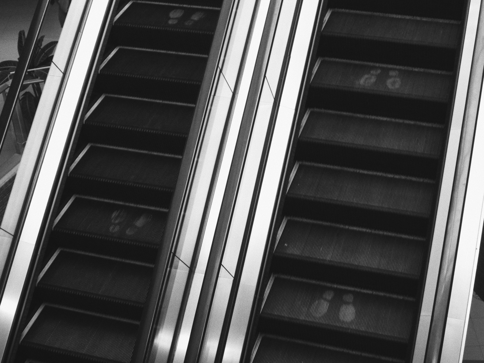 Cover image for Going the (Social) Distance: Rising Consumer Trends