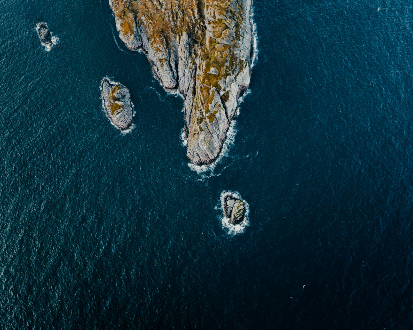 Cover image for Forget Virtual – UFC and NRL going Remote