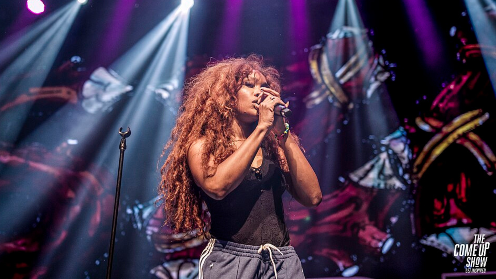 Cover image for How SZA is building a model for fan base advisory boards