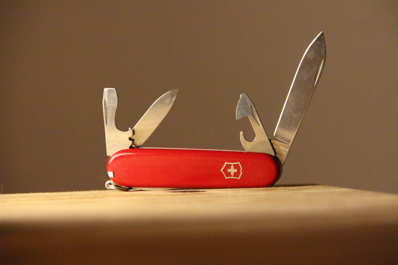 Cover image for With a rumoured podcast feature, will TikTok become the Swiss Army knife of entertainment?