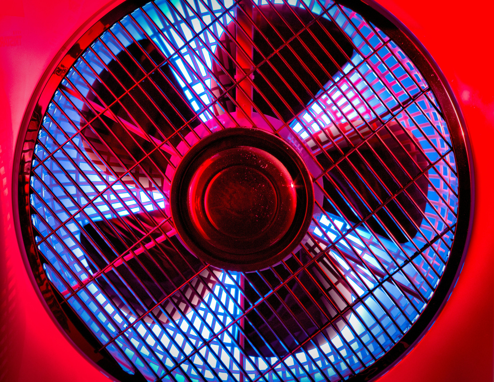 The road to 2033: The fan economy surges ahead