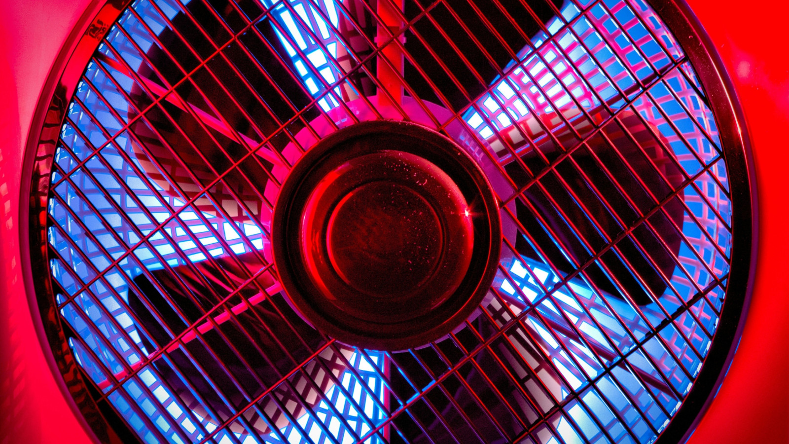Cover image for The road to 2033: The fan economy surges ahead