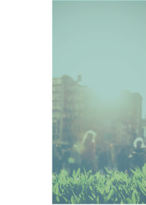 Midia-images-mobile-04